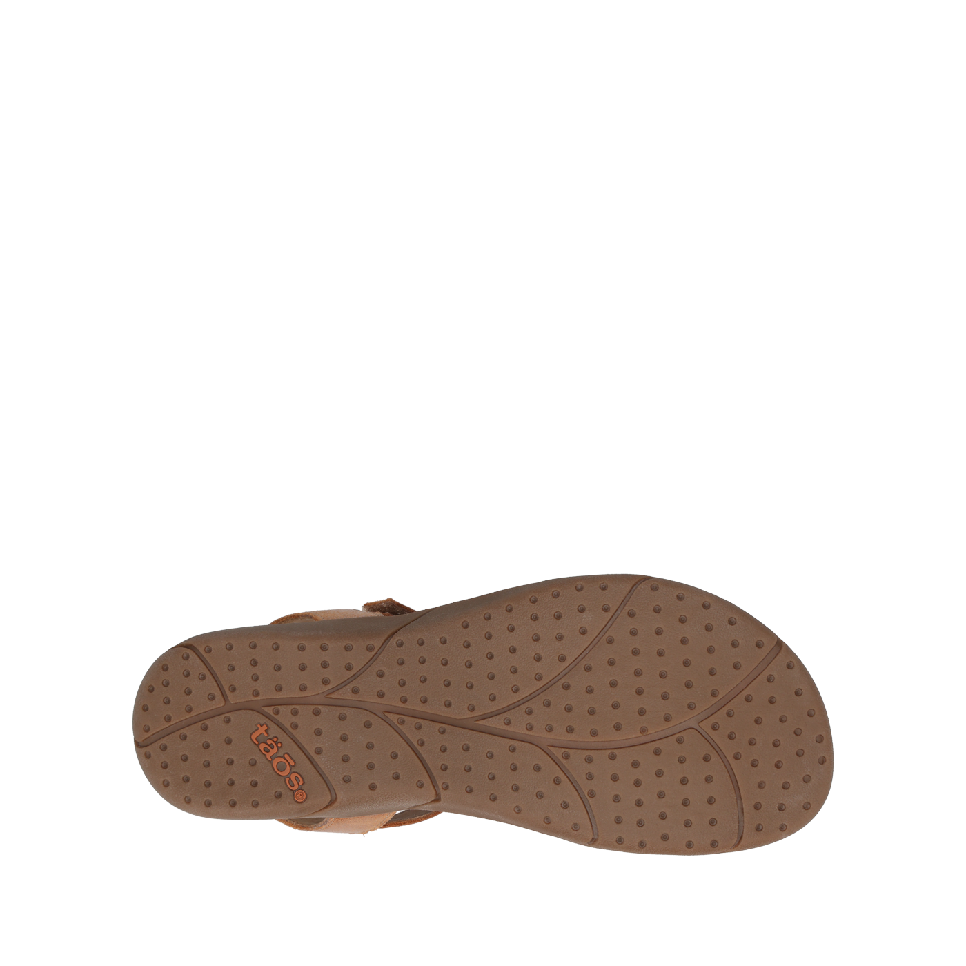 Trophy 2 - Image 12