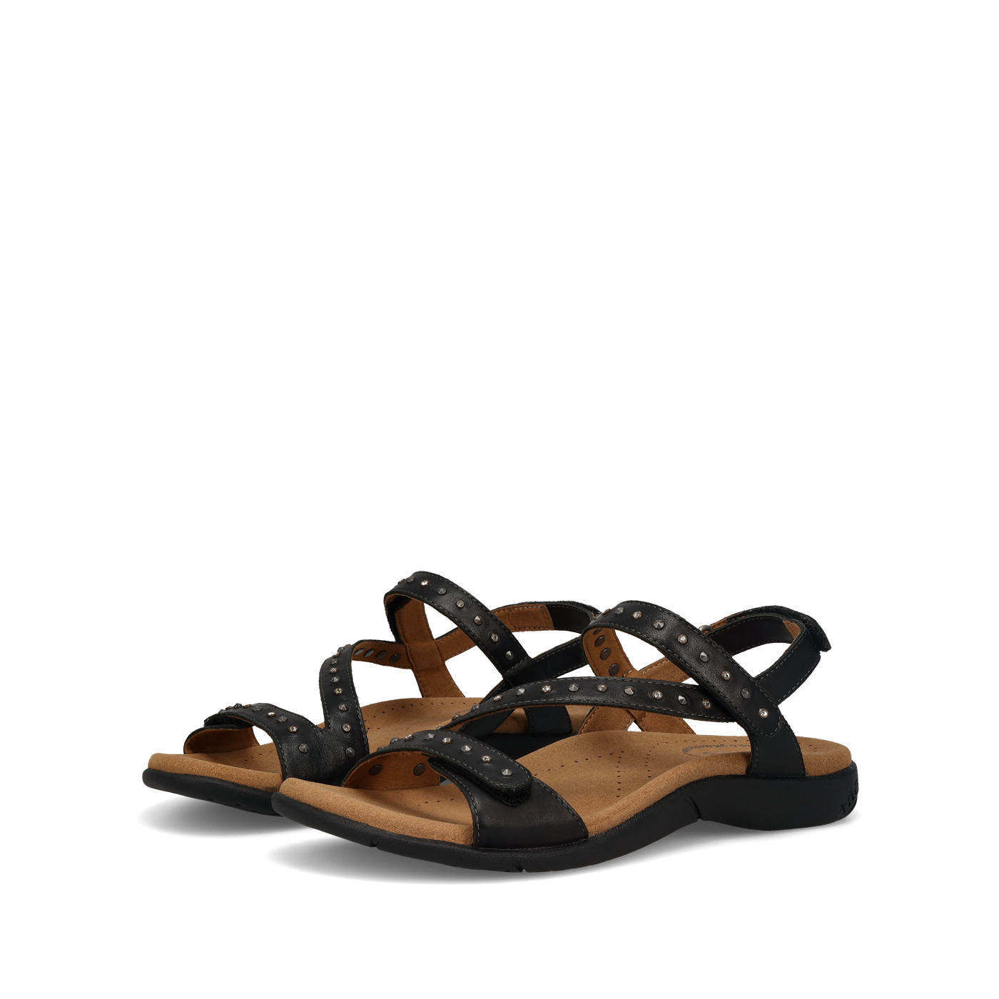 Dazzle - Image 11
